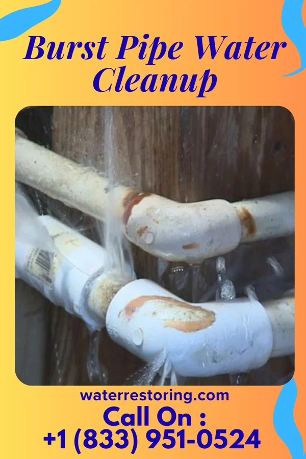 Burst Pipe Water Cleanup in Oakdale, LA