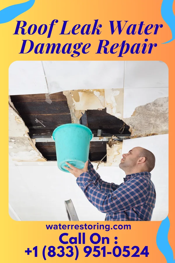 Roof Leak Water Damage Repair in Oakdale, LA